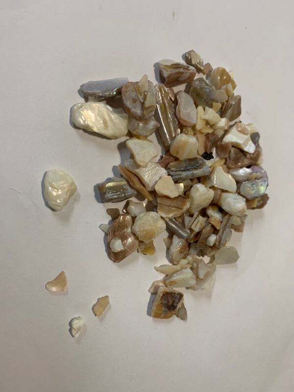 Shell bits 1/2 Pound (NEW)