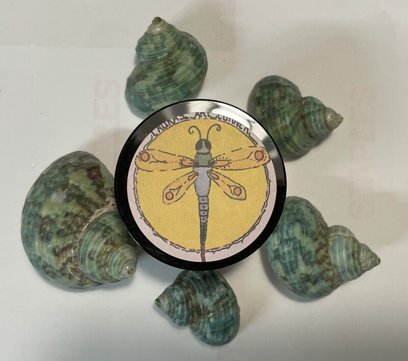 Small Hermit Crab Shells (NEW) 5 Pieces