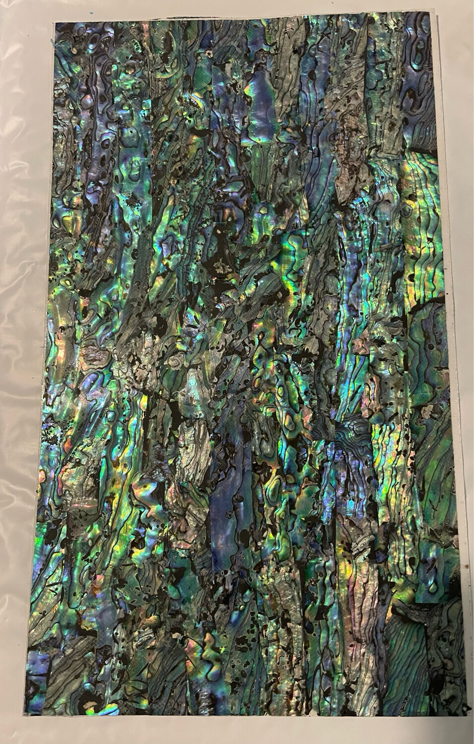 Mermaid Blue Shell Veneer 5.5x9.5”