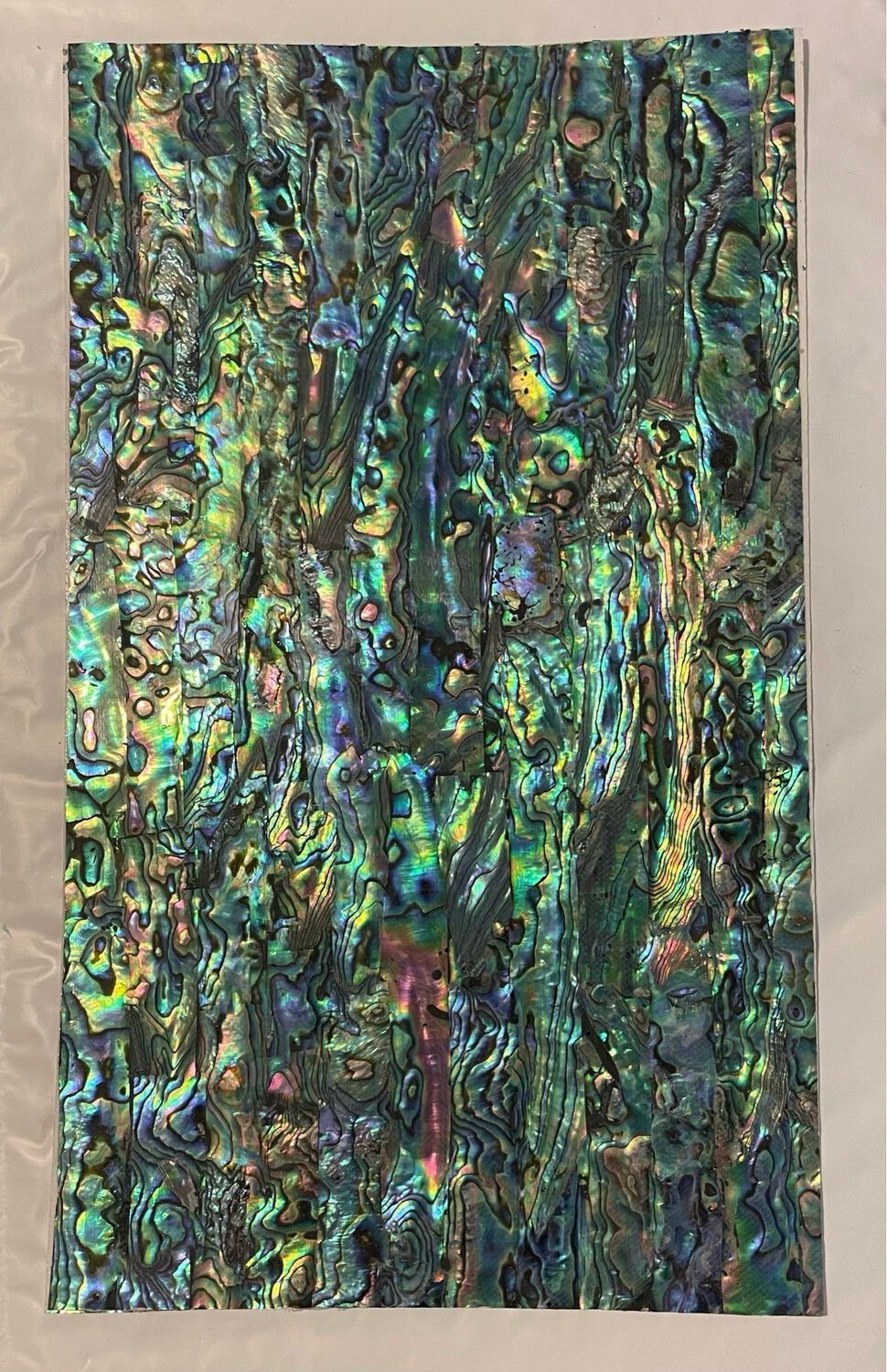 Mermaid Blue Green Shell Veneer 5.5x9.5