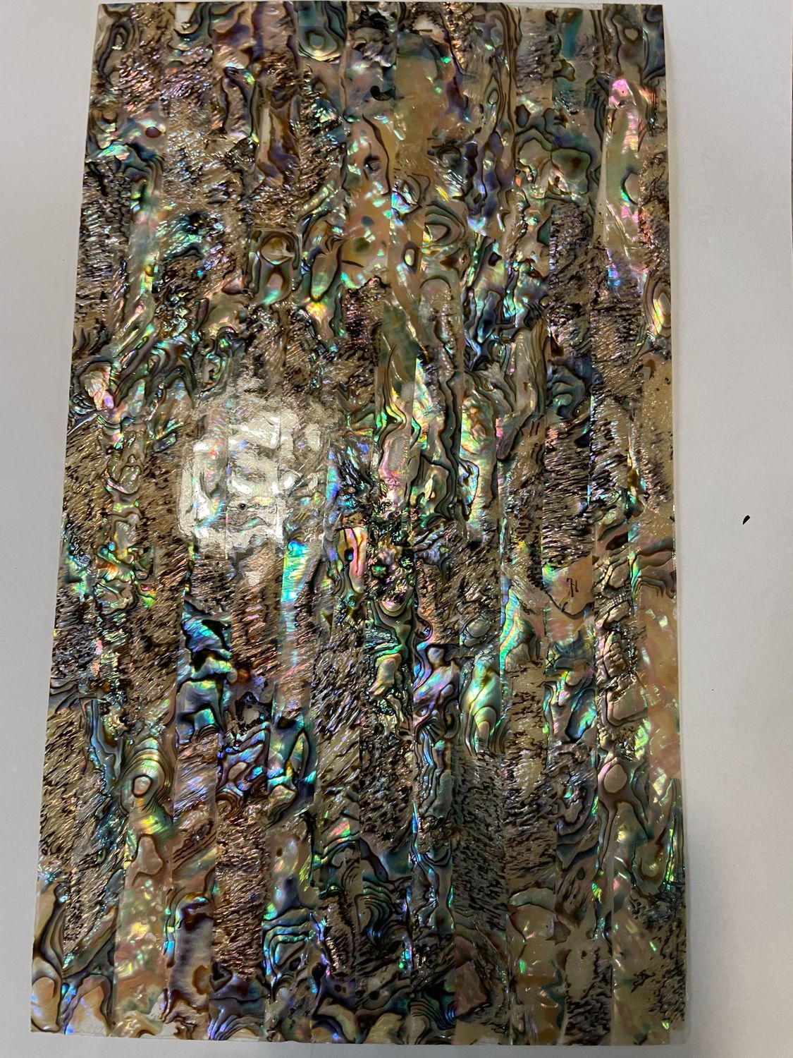 Abalone Golden Veneer 5.5x9.5” No Sticker (NEW)