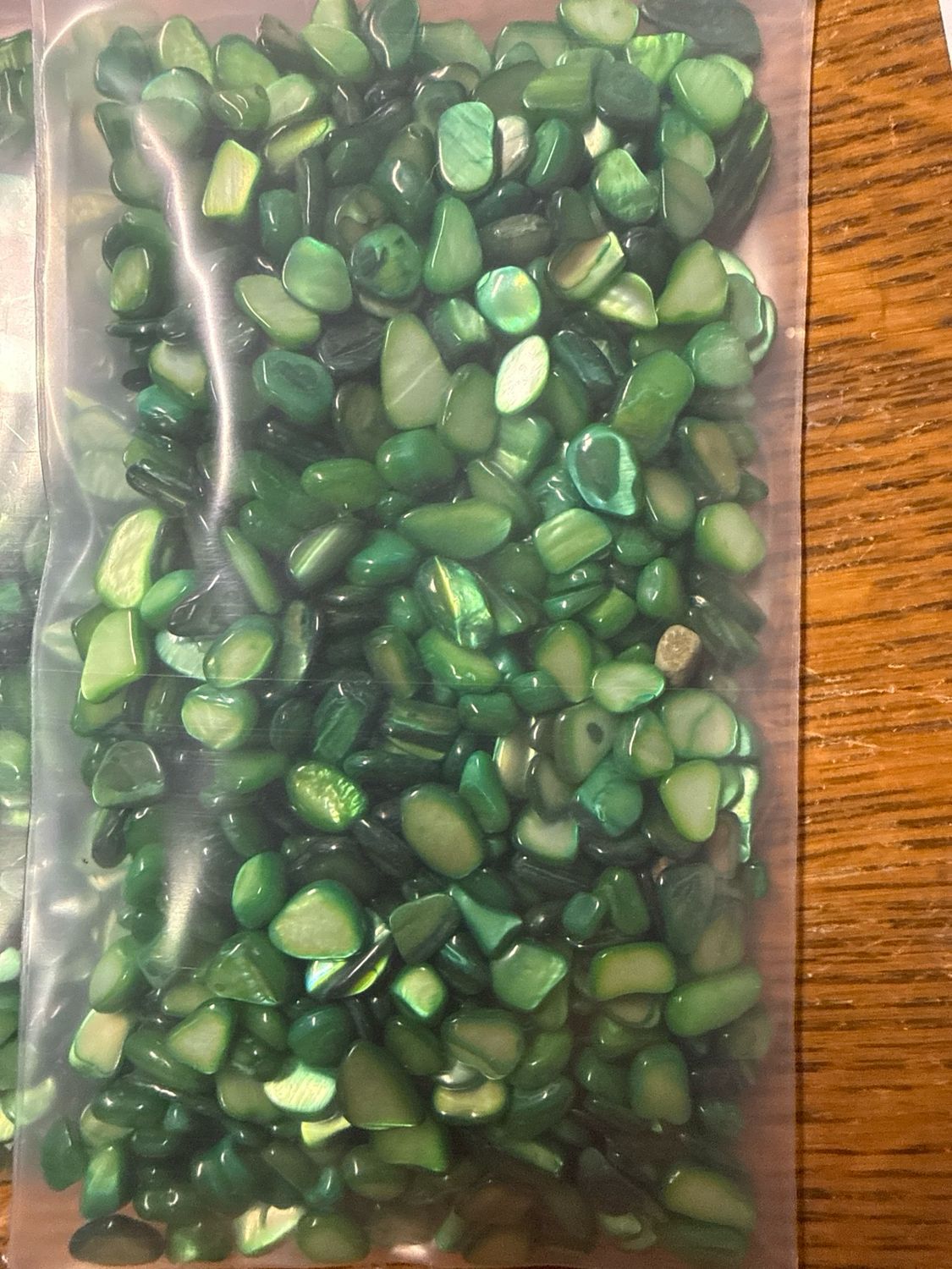 Green Dyed Abalone Shells