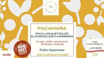 2025 EDICION LIMITADA PACAMARA PEDRO SAGASTUME (BOLSA 250 GMS)