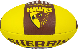Hawthorn Hawks AFL Club Football Hawclub