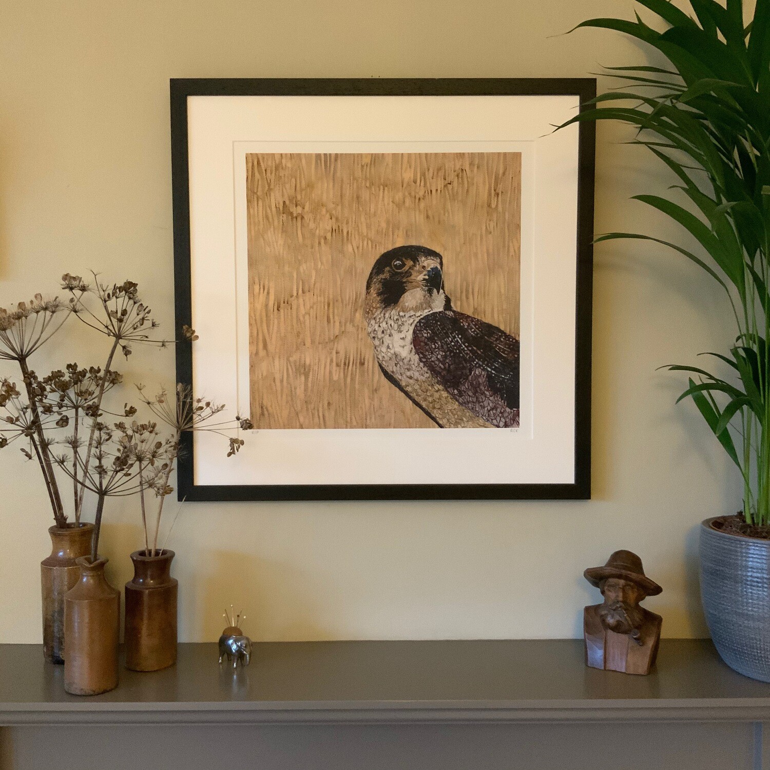 'Young Pretender' Juvenile Peregrine - Limited Edition Giclee Print