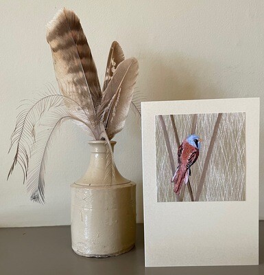 Card Set 1 - 'On the Levels' (Pack of 5)