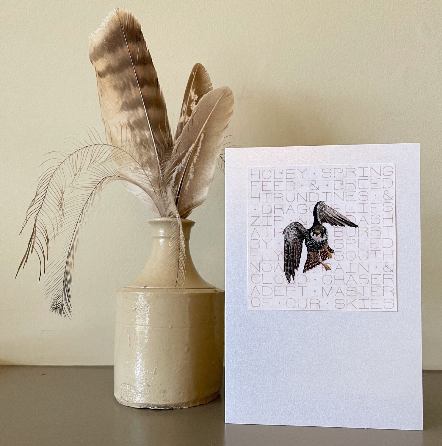 Card Set 2 - Birds of Prey (Pack of 5)