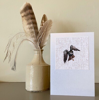Card Set 2 - Birds of Prey (Pack of 5)