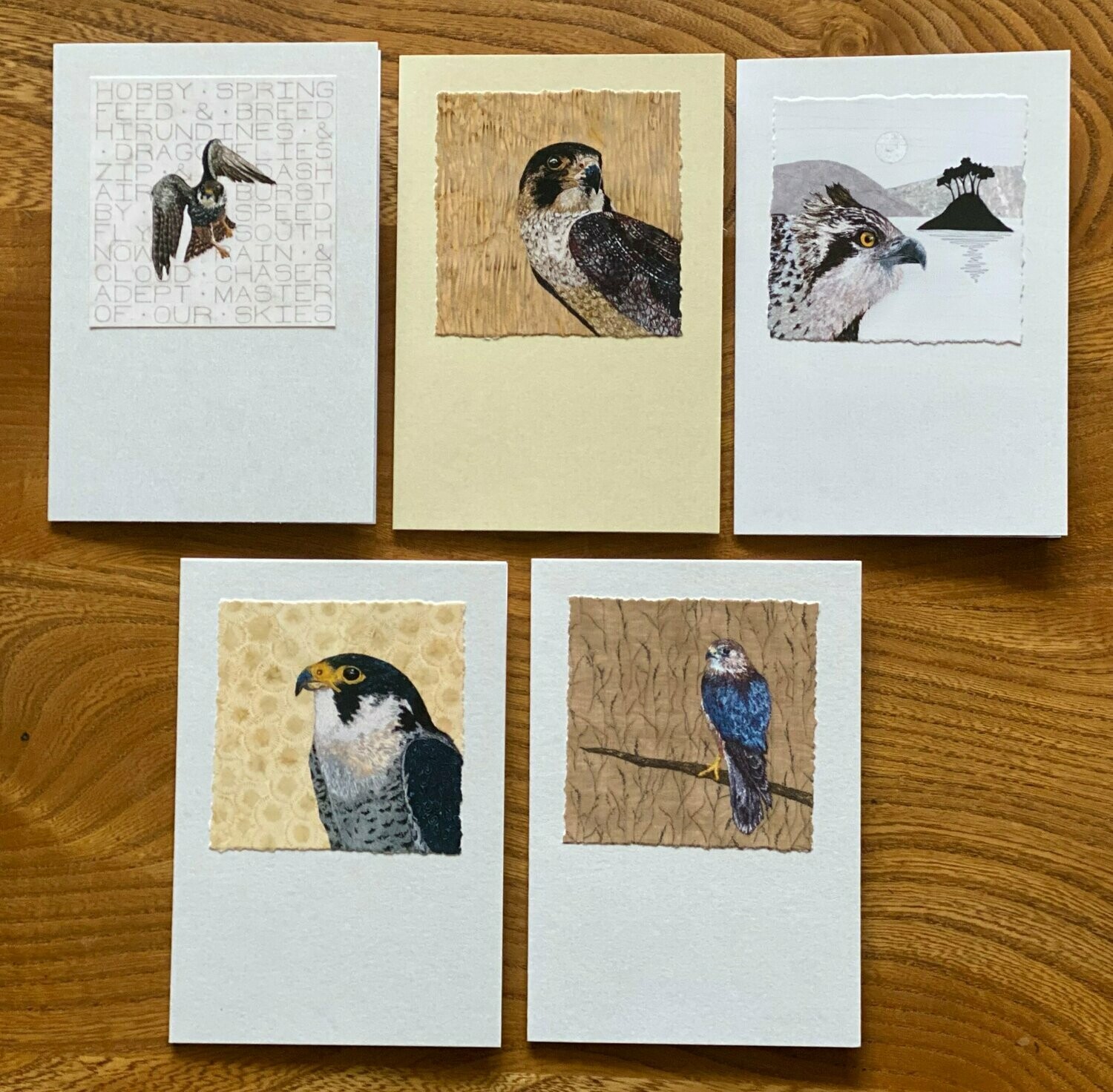 Card Set 2 - Birds of Prey (Pack of 5)