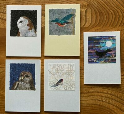 Card Set 4 - Assorted (Pack of 5)