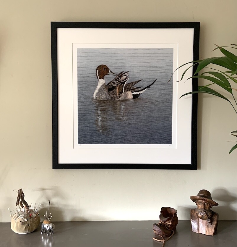 'On Reflection' Pintail - Limited Edition Giclee Print