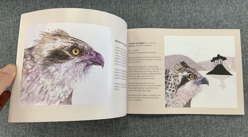 'Thriving and Declining on the Somerset Levels'- A story in Stitch Booklet