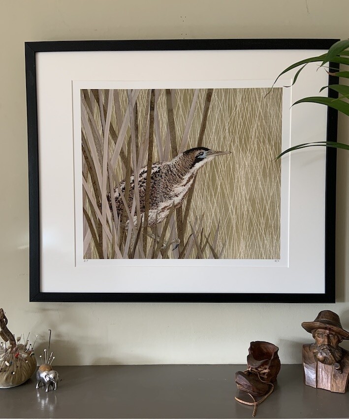 'On a Mission' Bittern - Limited Edition Giclee Print