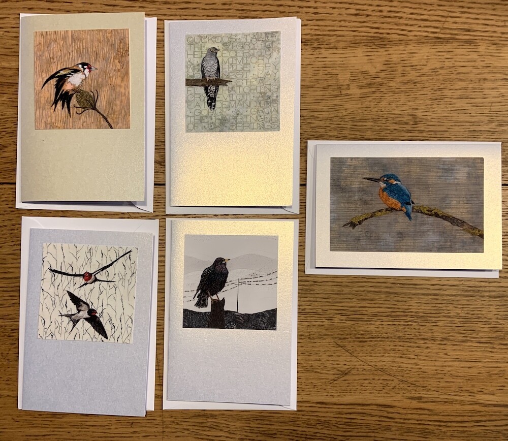 Card Set 5 - Assorted (Pack of 5)