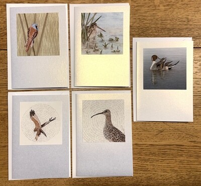 Card Set 1 - 'On the Levels' (Pack of 5)