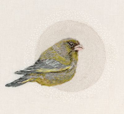 Greenfinch - Limited Edition Giclee Print