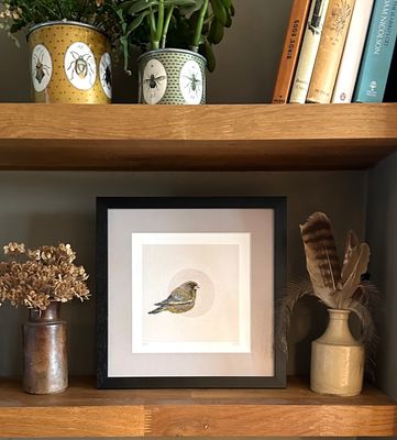 Greenfinch - Limited Edition Giclee Print