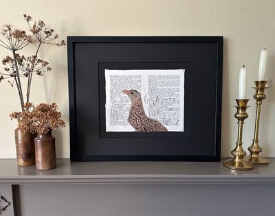 'Reference Only II - Corncrake' - Limited Edition Giclee Print