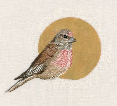 Linnet - Limited Edition Giclee Print