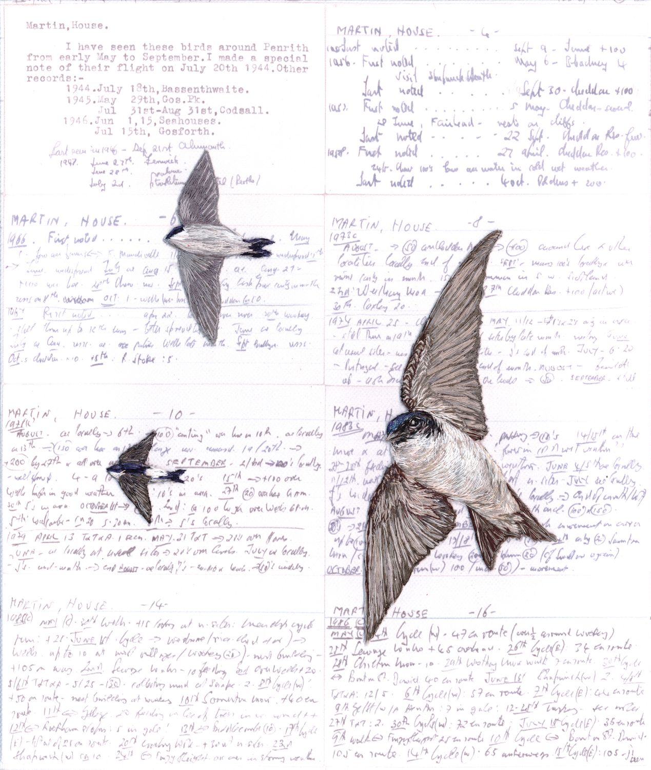 'Eave Dwellers' House Martins - Limited Edition Giclee Print