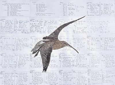 'A Curlews Cry' - Limited Edition Giclee Print