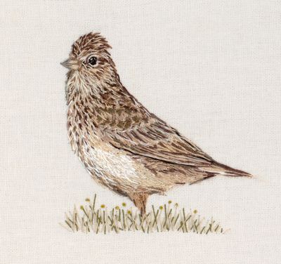 Skylark - Limited Edition Giclee Print