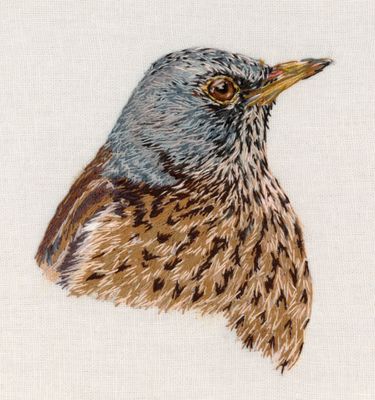 Fieldfare - Limited Edition Giclee Print