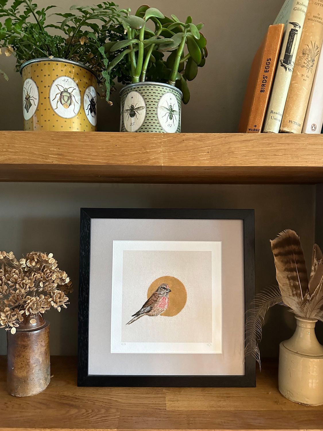 Linnet - Limited Edition Giclee Print