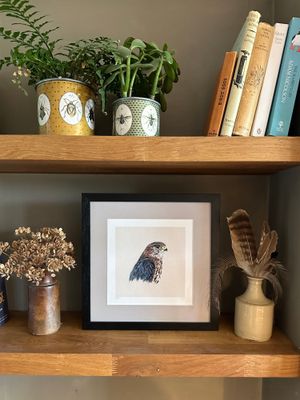Merlin - Limited Edition Giclee Print