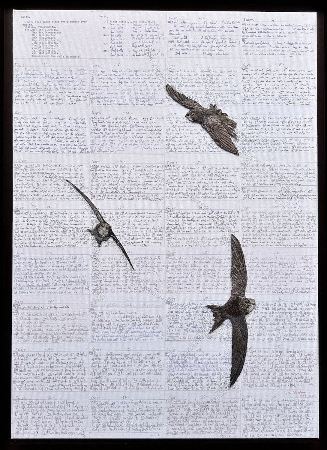 'Life on the Wing' Swifts - Limited Edition Giclee Print