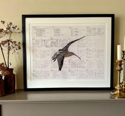 'A Curlews Cry' - Limited Edition Giclee Print