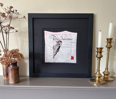 'A Contract with Nature II - Lesser Spotted Woodpecker' - Limited Edition Giclee Print