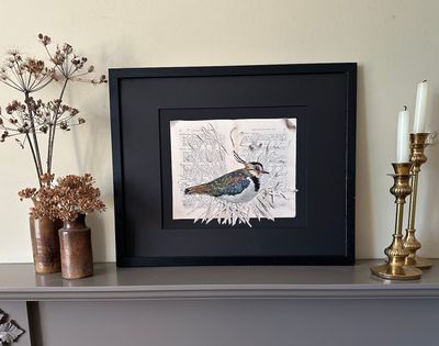 'Reference Only I - Lapwing' - Limited Edition Giclee Print