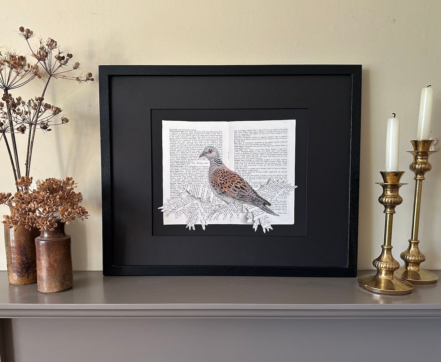'Reference Only III - Turtle Dove' - Limited Edition Giclee Print