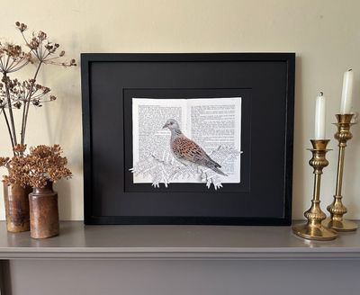 'Reference Only III - Turtle Dove' - Limited Edition Giclee Print