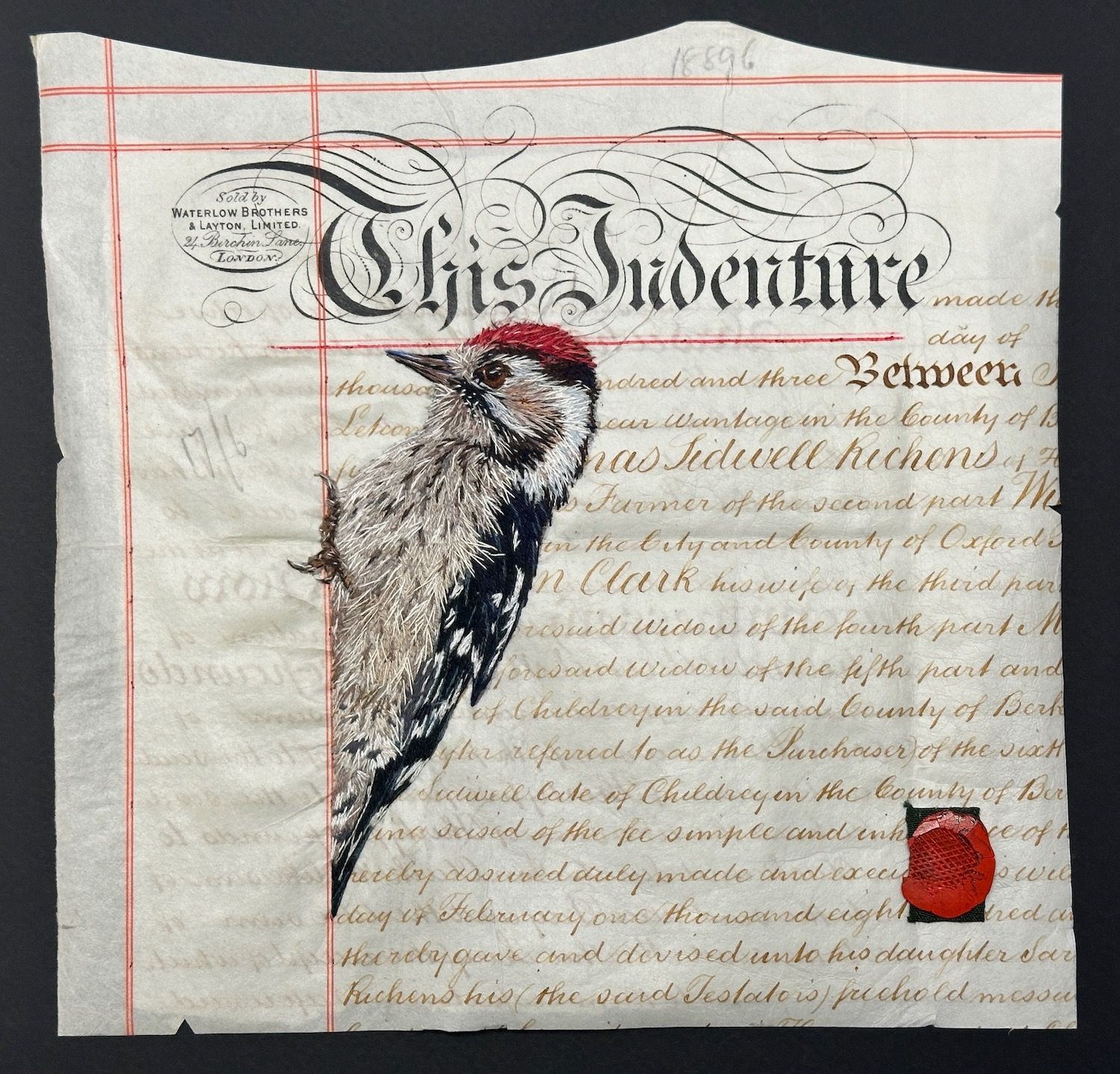 'A Contract with Nature II - Lesser Spotted Woodpecker' - Limited Edition Giclee Print