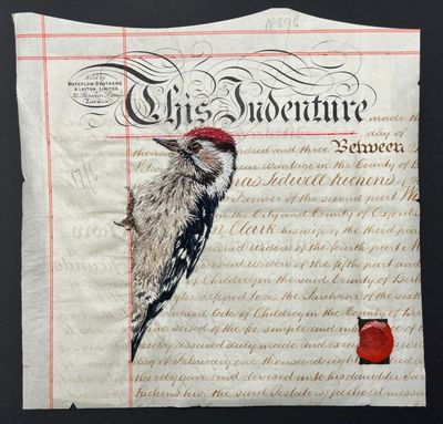 'A Contract with Nature II - Lesser Spotted Woodpecker' - Limited Edition Giclee Print