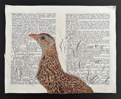 'Reference Only II - Corncrake' - Limited Edition Giclee Print