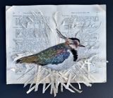 'Reference Only I - Lapwing' - Limited Edition Giclee Print