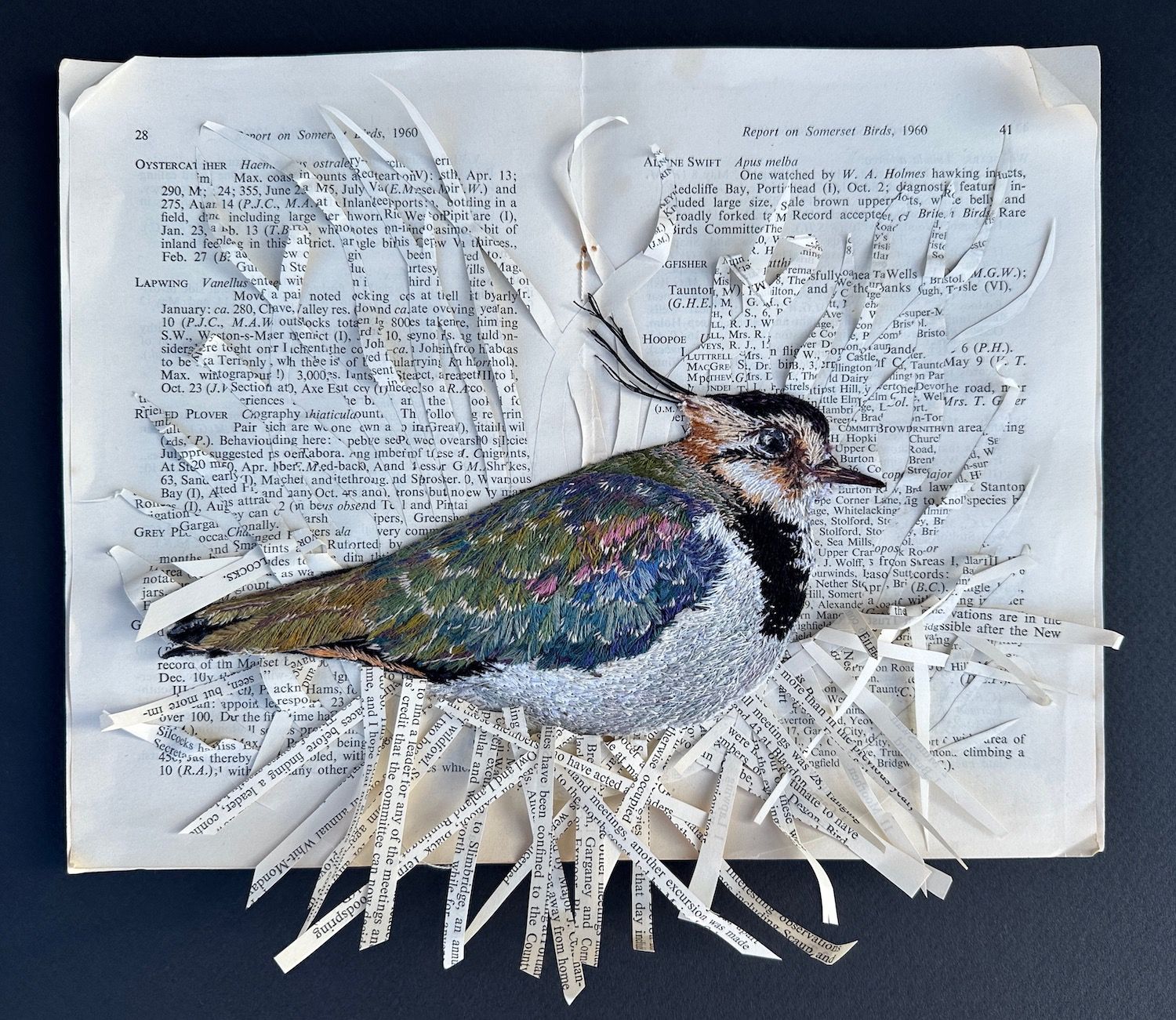 'Reference Only I - Lapwing' - Limited Edition Giclee Print