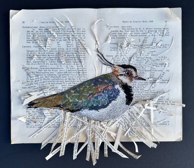 'Reference Only I - Lapwing' - Limited Edition Giclee Print