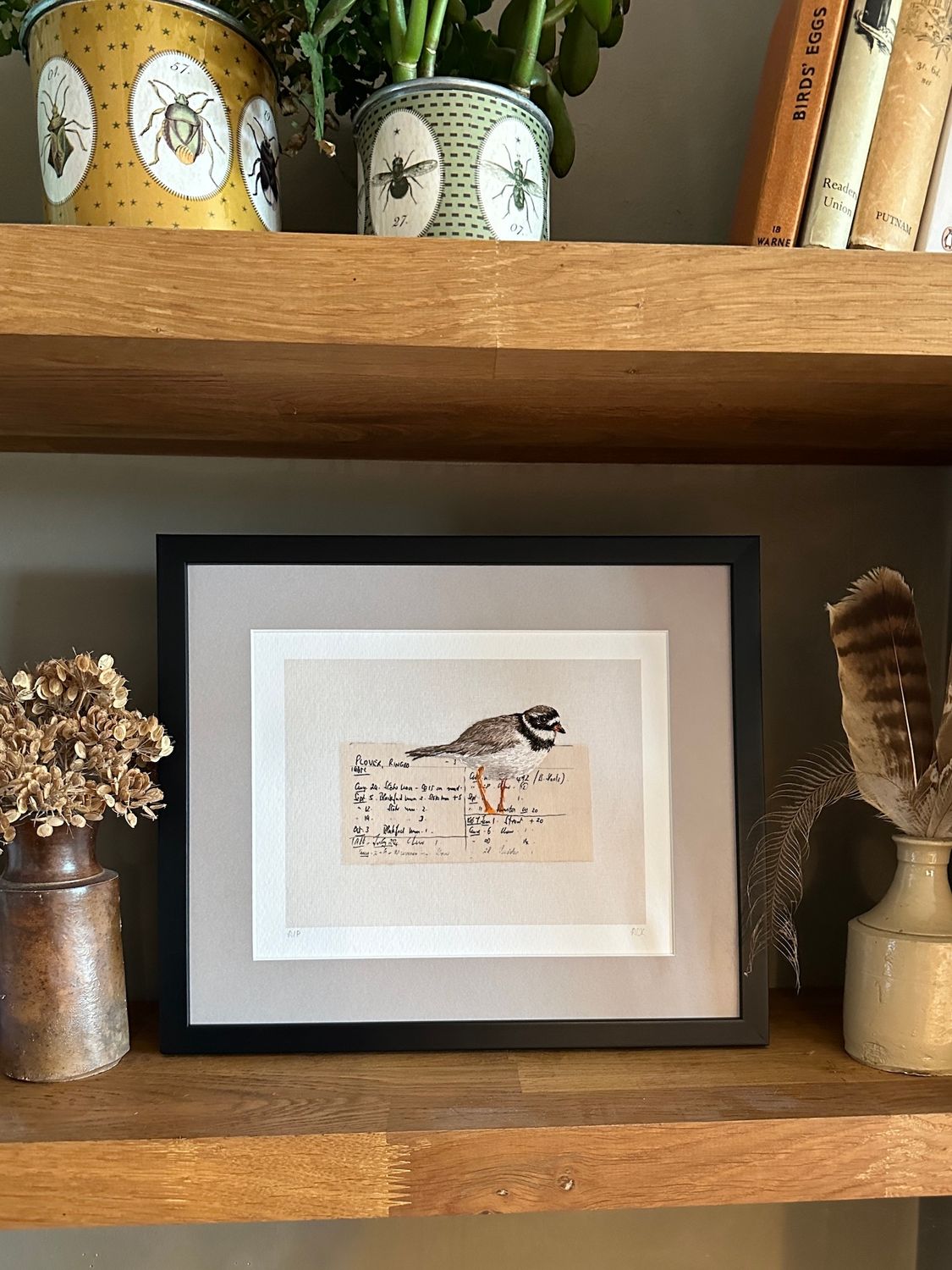 Ringed Plover - Limited Edition Giclee Print
