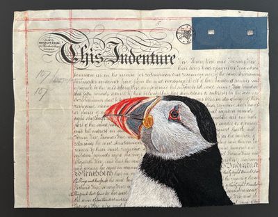 'A Contract with Nature III - Puffin' - Limited Edition Giclee Print