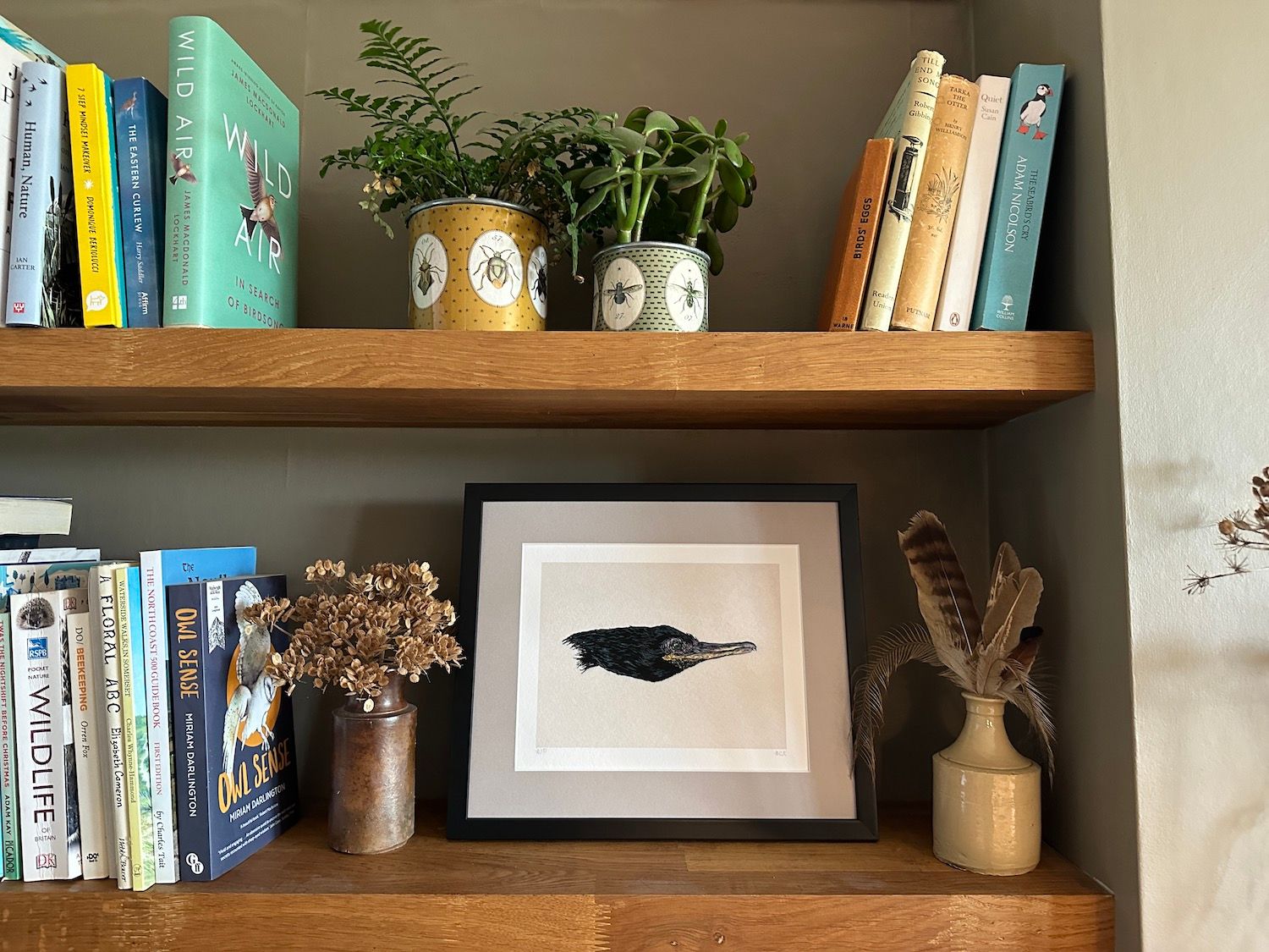 Shag - Limited Edition Giclee Print