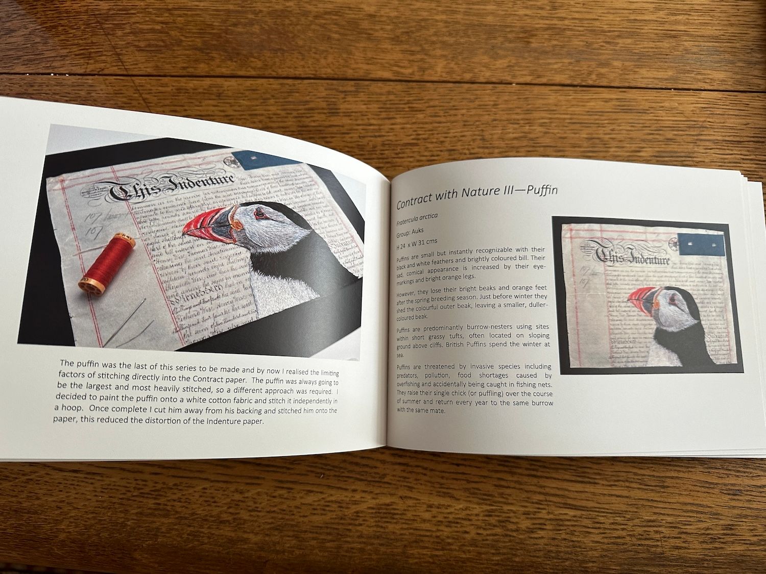 'Hanging by a Thread' Exhibition Booklet