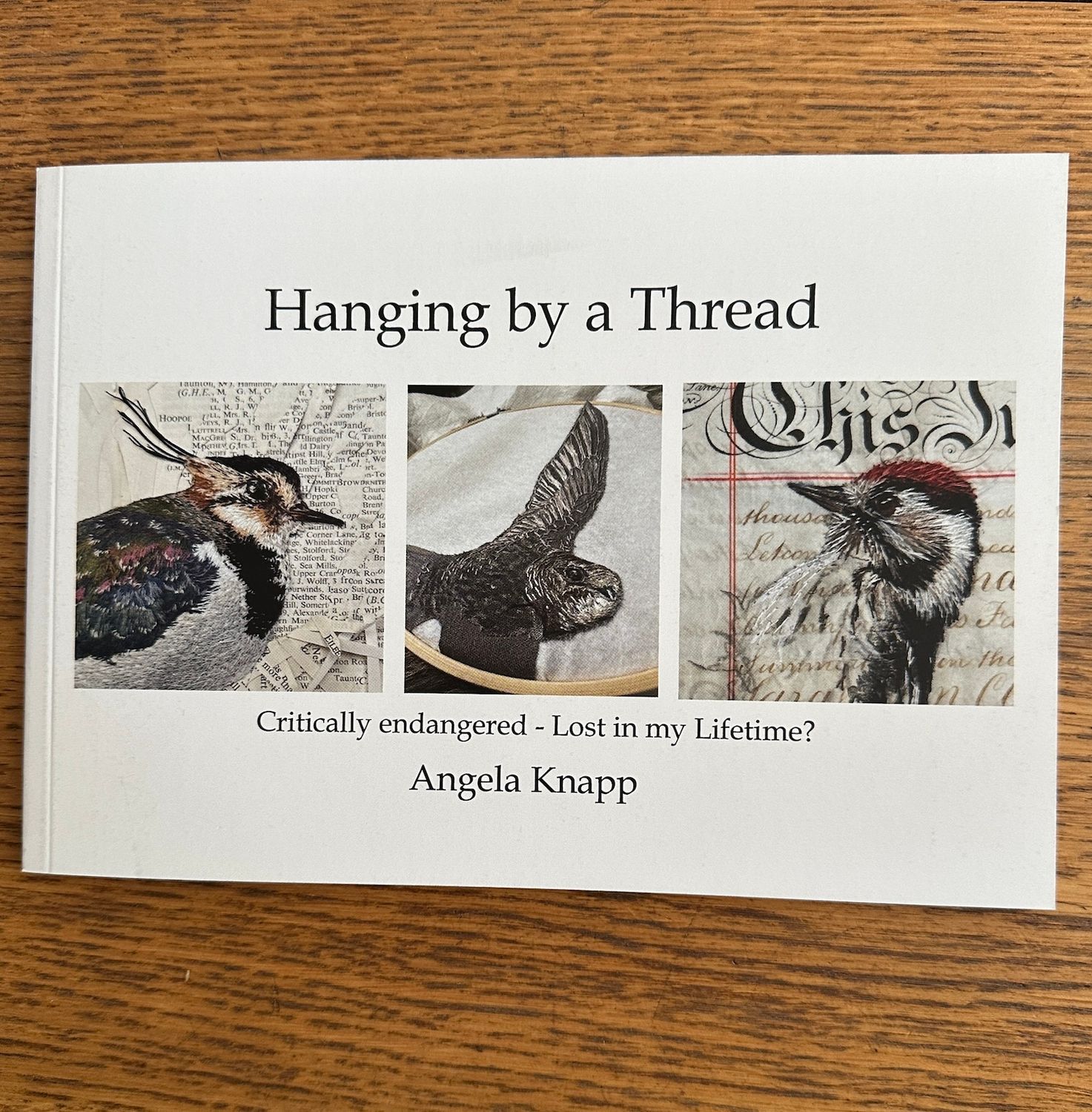 'Hanging by a Thread' Exhibition Booklet
