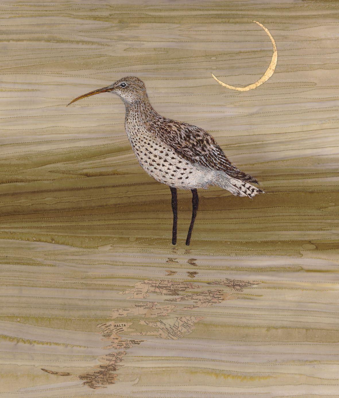 'The Last New Moon? 'Slender Billed Curlew  - Limited Edition Giclee Print