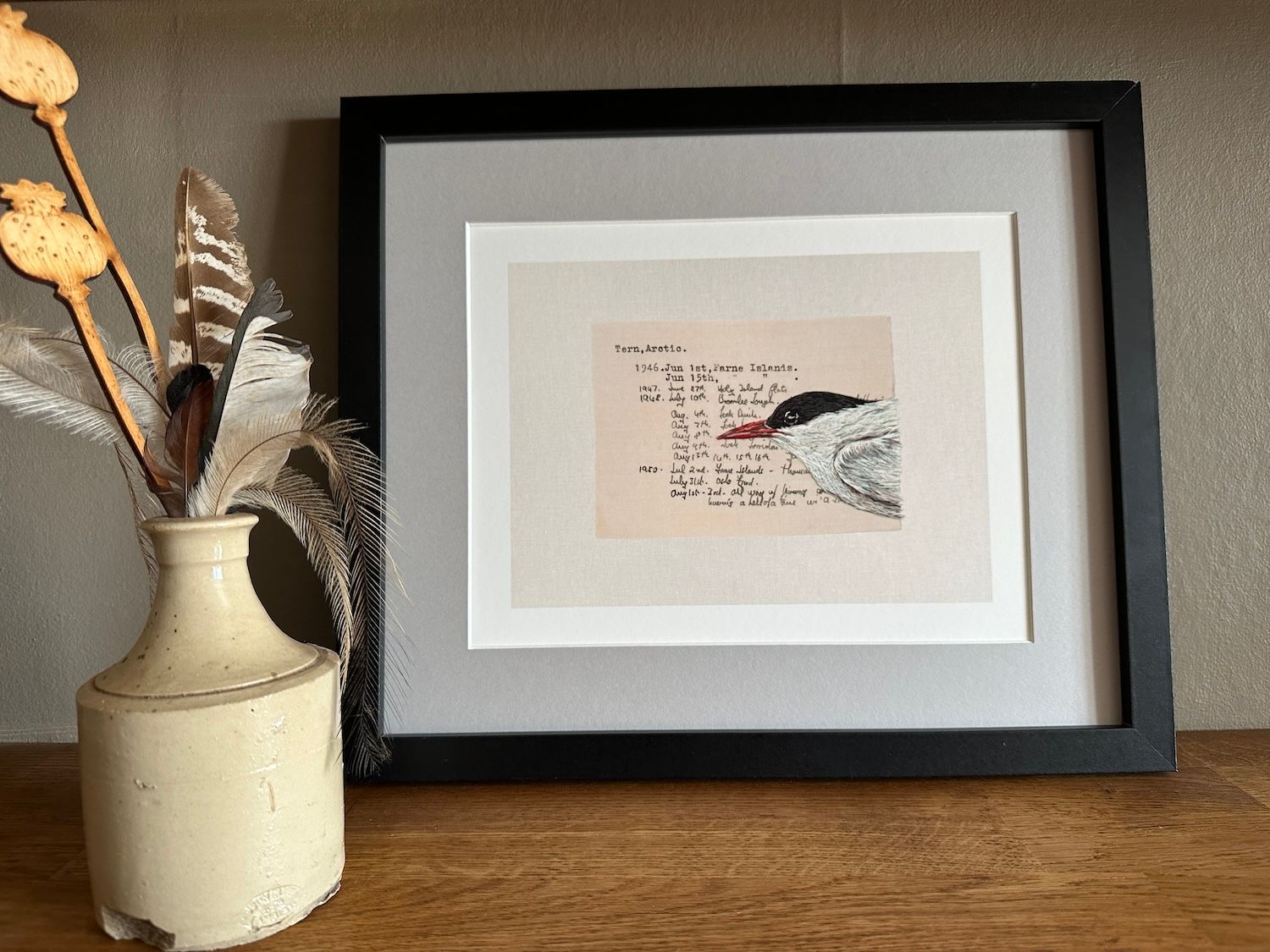 Arctic Tern - Limited Edition Giclee Print