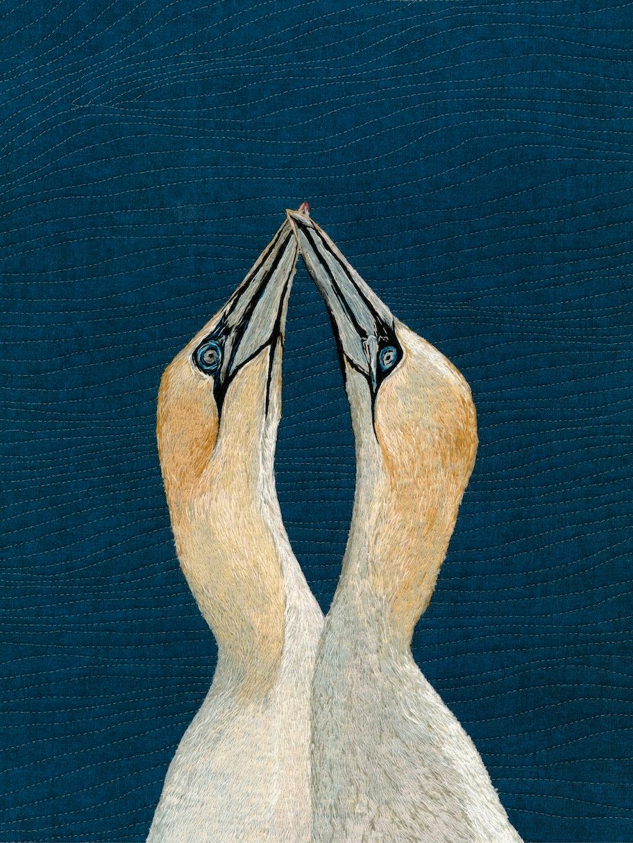 'The Union' Gannets - Limited Edition Giclee Print