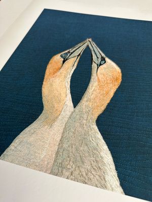 'The Union' Gannets - Limited Edition Giclee Print
